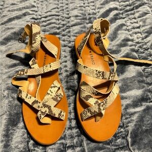 Lucky Brand snake skin strappy sandals